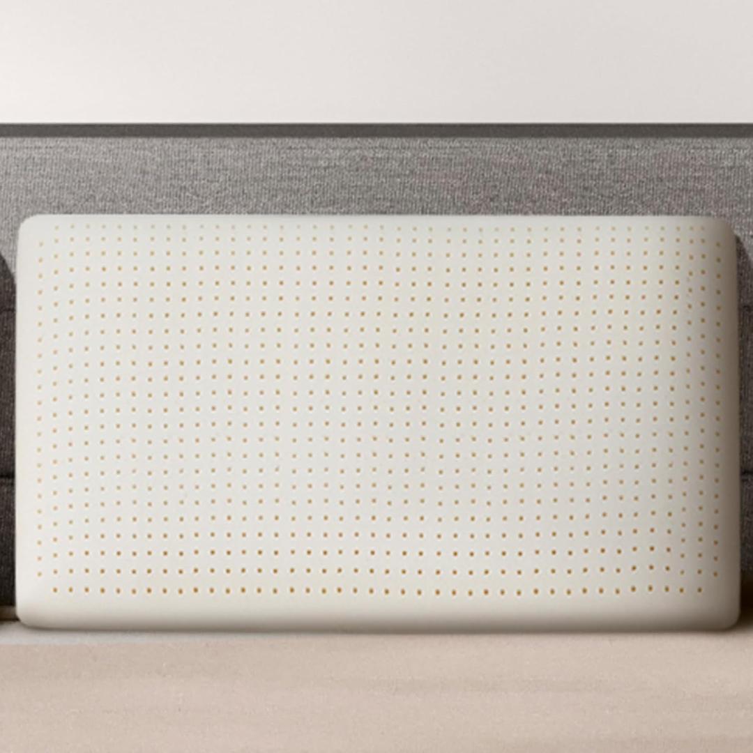 Talalay 100% Natural Premium Latex Pillow, Queen Bed Pillow with Removable Cotton Cover, Helps Relieve Pressure, Sleeping Pillow Suitable for Back and Side Sleepers, Travel Pillow (Queen (Medium))