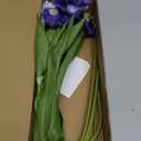 Purple Iris Flowers Real Touch 6 PCS Iris Artificial Flowers 18.9 in Long Stems Flowers for Decoration for Wedding Bridal Home Kitchen Party(Dark Purple)