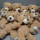 Skylety 10 Pcs Bears Bulk Stuffed Animal Plush Toys 10-14 Inches Birthday Party Favors(Light Brown)