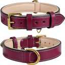 Genuine Leather Dog Collar | Full Grain, Heavy Duty, Comfortable, Padded, Strong | Best for Pups, Small Breeds (Small (Fit Neck Size 11.5"-14.5"), Dark Pink)