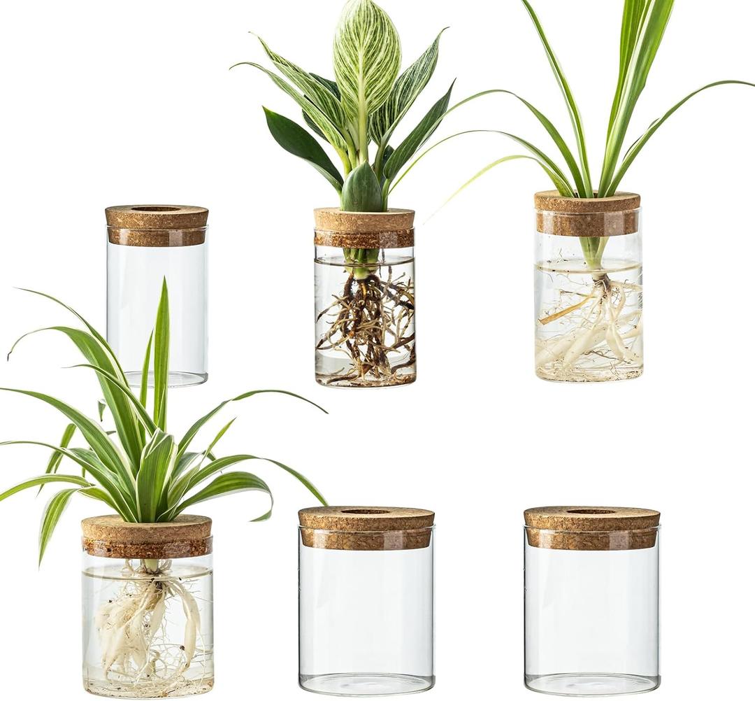 Glass Plant Propagation Station Set Water Planting Glass Vase for Herb Cuttings,Succulent Water RootingDesktop Planter Jars for Home,Office,Living Room,Bedroom Decor(6PCS)