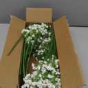 Yastouay Babys Breath Artificial Flowers, 6Pcs Fake White Babys Breath Flowers Artificial Bulk, Real Touch Faux Babies Breath Gypsophila Bouquet for Wedding Floral Arrangement Party Decor