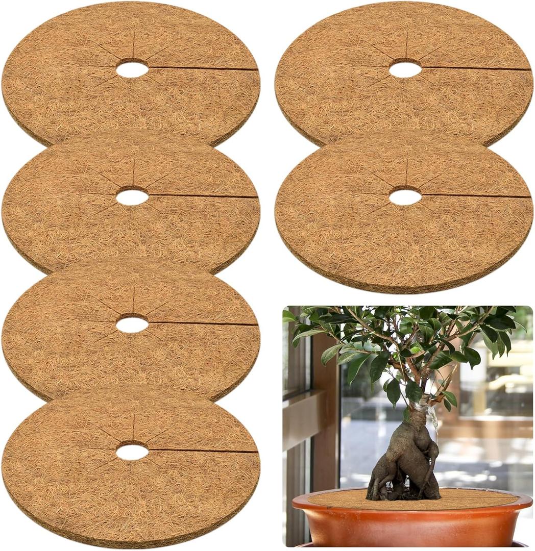 ZeeDix 6 Pack Coconut Fiber Mulch Ring, 24 Inch Coco Coir Tree Ring Mulch Mat, 100% Natural Tree Protector Mat Plant Cover Ring Coconut Coir Discs Tree Mats Mulch Rings for Indoor Outdoor Trees Plants ZeeDix 6 Pack Coconut Fiber Mulch Ring, 24 Inch Coco Coir Tree Ring Mulch Mat, 100% Natural Tree Protector Mat Plant Cover Ring Coconut Coir Discs Tree Mats Mulch Rings for Indoor Outdoor Trees Plants