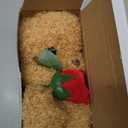 Civaner Bear Stuffed Animal Gift with Rose Funny Cute Bear Stuffed Animal Plush Gift for Mother Day Mom Birthday Wedding Christmas, 11.8 Inches(Beige)