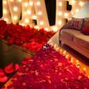 2 x CO-RODE 1200pcs Wedding Decoration Silk Dark Red and Burgundy Rose Petals, Artificial Flowers(Burgundy)