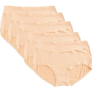 Pack of 5 Warm Sun Women's rayon derived from bamboo Multi Pack Plus Size Stretchy Soft Breathable High Middle Waist Pantie, Large, Skin 