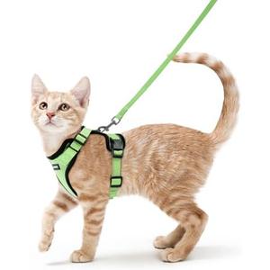rabbitgoo Cat Harness and Leash for Walking, Escape Proof Soft Adjustable Vest Harnesses for Cats, Easy Control Breathable Reflective Strips Jacket, Light Green, S