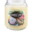 Candle-lite Scented Candles, Tropical Fruit Medley Fragrance, One 18 oz. Single-Wick Aromatherapy Candle, Yellow Color