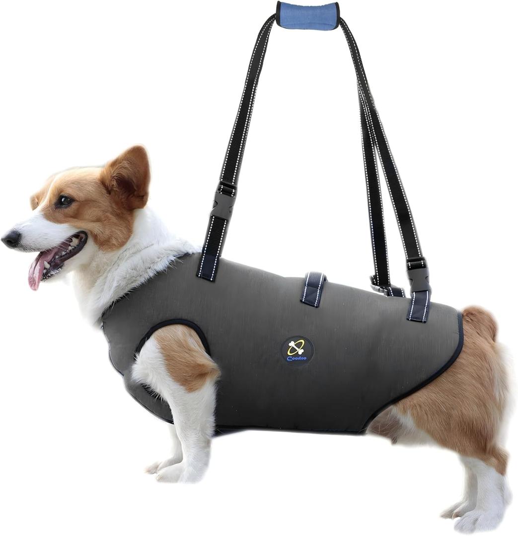 Coodeo Dog Lift Harness, Pet Support & Rehabilitation Sling Lift Adjustable Padded Breathable Straps for Old, Disabled, Joint Injuries, Arthritis, Loss of Stability Dogs Walk (Grey, S)