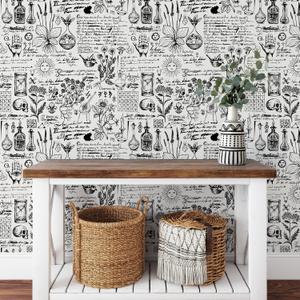 Black and White Background Wallpaper Esoteric and Occult Symbols Wallpaper Alchemy Themed Sketches Wall Decor The Latin Words Spirit 17.7''x118''