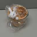 Easter - Spring Flower Pot - Bunny Decor - Easter Decoration - Decorative Garden Pots for Cactus Succulents Planter with Drainage Hole for Home Farmhouse Decor 5.75 x 5 x 7.25 inch Newman House Studio