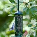 Squirrel Buster Mini Squirrel-Proof Bird Feeder for Wild Birds 4 Metal Perches, 1 lb Seed Capacity, Chew-Proof Design, Lifetime Care, Garden Green