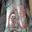 Drywall Sander, 2025 Upgraded 8-Amp Popcorn Ceiling Removal Tool with 7 Variable Speed 800-1800RPM, Drywall Sander with Vacuum Dust Collector with Extendable Handle, LED Light, 12pcs Sanding Discs,Red