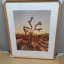 RICHFOCUS 16x20 Picture Frame USA-Sourced Natural Cherry Solid Wood Photo Frame Handcrafted Rounded Corner Wodden Frame with Real Glass Display Photos 11x14 with Mat or 16x20 Without Mat