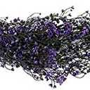 Sunnyskar Flower 1pc 80 Cm Home Artificial Rattans Decorative Flowers Wall Mounted Plant Plastic Wicke Plant Wedding Vine Fake Greenery - (Color: Pruple; Size: 2pcs)