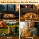 Cat Calming Drops  Natural Anxiety & Stress Relief for Cats | Sleep Aid, Travel & Grooming Support | Helps with Aggression, Loud Noises & Night Restlessness | Safe Herbal Formula