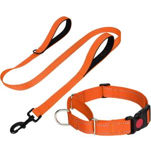 FunTags Reflective Martingale Collar for Dogs, Quick Release Buckle, 5FT Double Handle Dog Leash Padded, Dog Collar and Leash Set, Adjustable for Medium Dogs (Orange, M)
