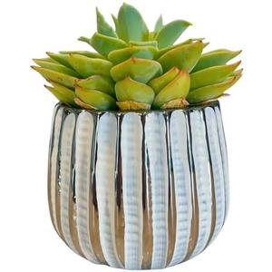 Admired by Nature 4" Ceramic Flower Planter, Ceramic Pot Planter, Indoor Ceramic Bowl, Houseplant Ceramic Pot, Decorative Planter for Indoor Plant Succulent Plant Home Décor, Lightweight, White