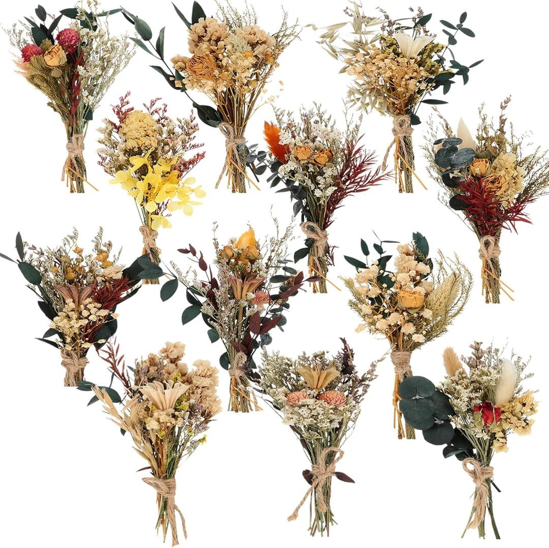 Layhit 12 Pcs Boho Dried Flower Bouquet Mini Wedding Handmade Dry Flowers Decor for Vase Crafts DIY Photo Boutonniere for Men Floral Plant for Bridesmaid Gift Birthday Decor(Bright)