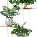 5 Tier Plant Stand Indoor Outdoor, Wood Metal Corner Shelf, Multiple Flower Pot Rack Holder Shelves, Planter Shelf Display Storage Organizer for Patio Living Room Balcony (White)