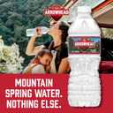 Arrowhead Mountain Spring Water Bottles, 12 Pack - Still Bottled Water with Naturally Occurring Minerals for Taste - 16.9 Fl Oz