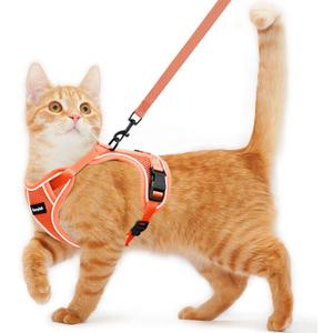 Cat Harness and Leash for Walking Escape Proof Soft Adjustable Cat Leash Breathable Comfortable Vest Easy to Wear Kitten Harness for Outdoor Travel (Orange, M (13-18lb))