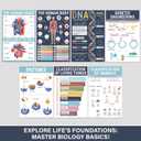 BrightenKidz Biology Posters for Classroom, 15 Pack 11x17 Science Charts