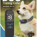 Megwr Dog training collar
