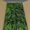 1 Pcs 9 Ft Artificial Norfolk Pine Garland, Realistic Real Touch Winter Christmas Greenery Garland for Mantle, Fireplace, Table, Wall, Outdoor, Indoor Christmas Decorations