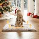 Self Heating Cat Pad Self Warming Cat Bed 22" x 17" Thermal Mat Extra Warm Pet Mat for Outdoor and Indoor Large Kittens Small Puppy Pets