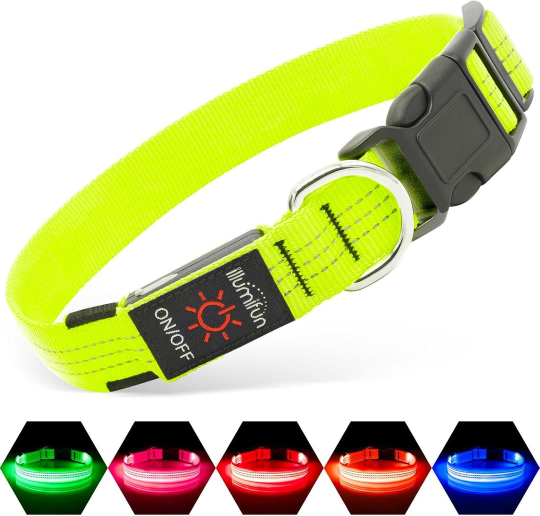 Illumifun Light Up Dog Collar - USB Rechargeable LED Dog Collar, Adjustable Lighted Pet Safety Collar for Night Walking (Green, Small)