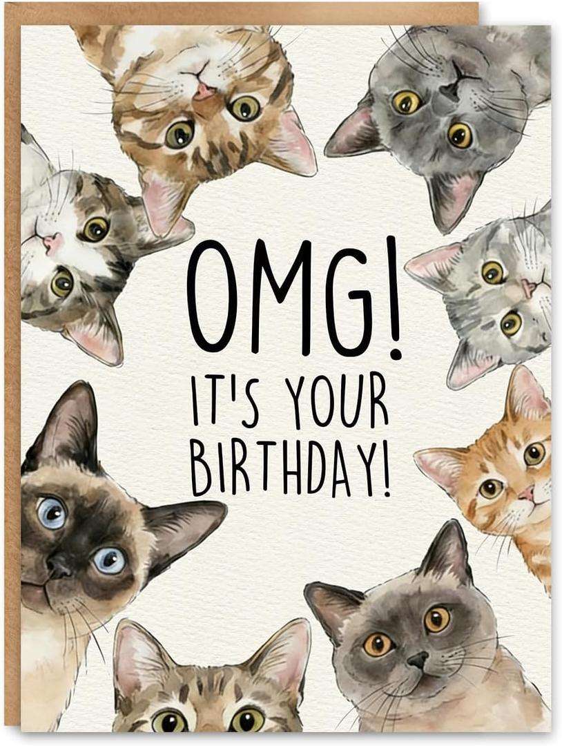 2 x Funny Cat Birthday Card, Birthday Gift for Cat Lovers, Blank Inside, with Kraft Envelope and Gold Seal Sticker