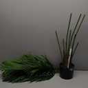 Artificial Areca Palm Plant Faux Tropical Tree 4FT, Fake Palm Tree Indoor Decor with 9Trunks for Home Office Garden Hotel Decor Gift1pack