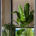 PETAFLOP 14x48 Inch Full Length Mirror Wall Mounted, Large Body Door Mirror with Rectangular Framed for Bedroom Bathroom Living Room Decor, Black