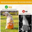 3 Pack Avont Washable Female Dog Diaper with Suspender, Reusable Girl Doggie Diapers for Medium Doggy in Heat Cycle Period Incontinence, Blue/Orange/Grey
