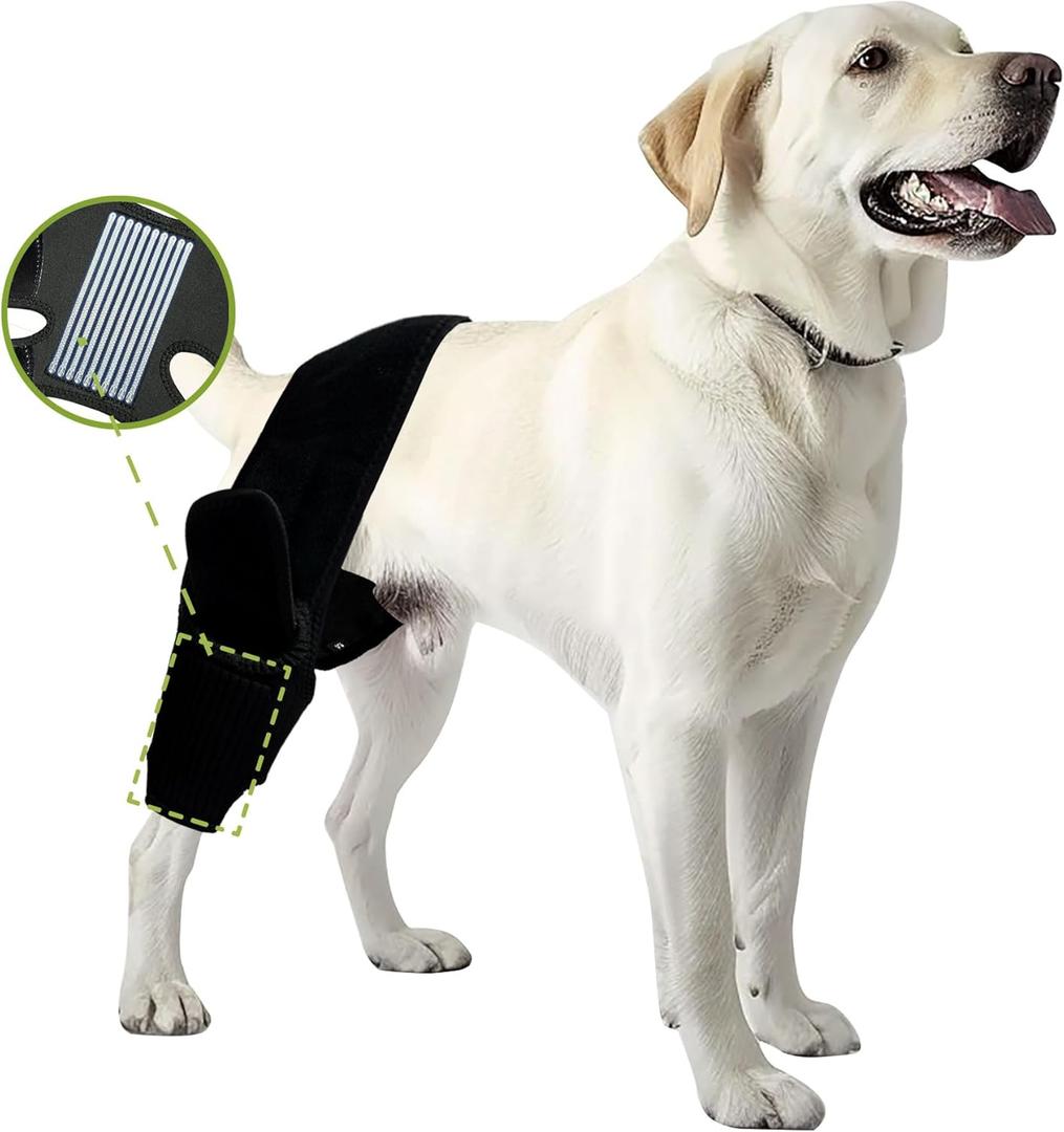 Dog Leg Braces for Back Leg- Dog ACL Brace for Torn and Back Hind Rear Legs ACL Tear, Dog Leg Brace for Hip Dysplasia, Dog Arthritis, Luxating Patella(Size L)