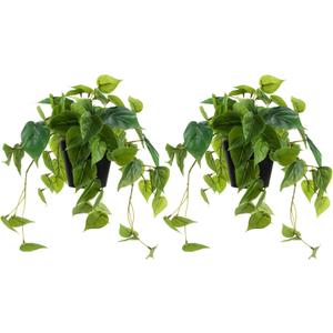 2 Pack Artificial Scindapsus Aureus, Realistic Fake Plants with Plastic Pot for Home Office Bedroom Indoor Outdoor Decor(8in H)