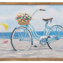 DI NV Beach Cruiser Frame, 22x 28 