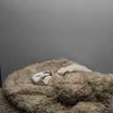 Smoofy Faux Fur Taupe Comforter Set Queen Size 3Pcs Fluffy Fuzzy Plush Comforter Set Cute Soft Shaggy Velvet Double-Sided Bedding Set (1 Faux Fur Comforter + 2 Pillowcases) (Khaki)