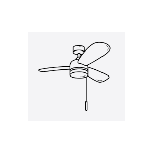 Ceiling Fan With Light