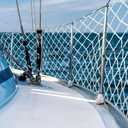 Windyun Boat Safety Lifeline Netting Marine Safety Guardrail Netting Safe Banister Railing Netting Nylon Net Deck Netting for Pets Crews and Equipment Safely on Deck Marine Hardware (30 x 2 ft)