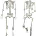 XONOR 5.4ft Halloween Posable Skeleton Realistic Life Size Human Skeleton Bones with Movable Joints for Halloween Haunted House Indoor Outdoor Decor, (2 Pieces)