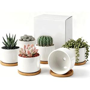 Succulent Pots Indoor: (3.12 Inch) White Ceramic Planter Set for Indoor Plants - Small Pots Includes 6 Bamboo Trays, Ideal for Home, Office Desk, Tabletop Decor