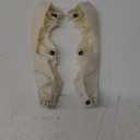 NewYall Front Left and Right Bumper Bracket for Infiniti G25 2011-2012 G35 2007-2008 G37 2009-2013 Q40 2015 Sedan 4-Door Model