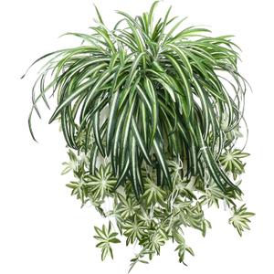 Hotop 6 Pcs Artificial Spider Plant 24 Inch Large Fake Hanging Greenery Plants Silk Faux Chlorophytum Comosum Artificial Flowers for Indoor Outdoor Wall Home Garden Backyard Office Wedding Decor
