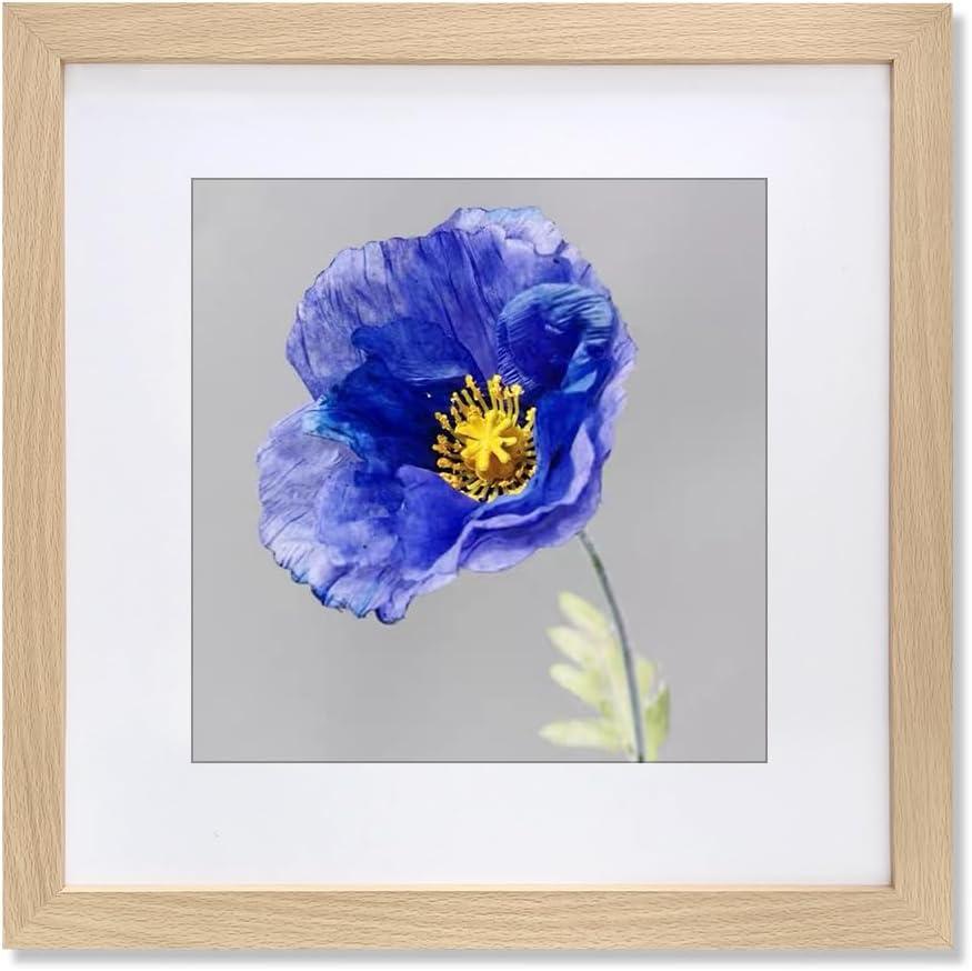 VNVNK 16x16 Frame Natural Wood Color, Perfect for 16x16 Inch Picture without Mat or 12x12 Inch Picture with Mat, Home Wall Decor Picture Frame-1 PCS