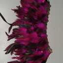 Women Feather Shawl Gothic Lace Cape Halloween Witch Cosplay Costume Carnival (Red)