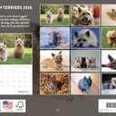 Cairn Terrier Calendar 2026 Wall 12 Month Monthly Cairn Terriers Gifts For Cairn Terrier Lovers Women Men Mom Dad | American Made In The USA