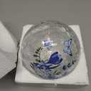 Crackle Glass Ball Light Butterfly Floral Pattern LED Night Light Indoor Tabletop Decorative Sphere Lamp for Home Decor Christmas Birthday Wedding Girls Women's Gift (1 Pack)