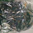 Novelty Lights 11 Feet 50 Bulbs Traditional Incandescent Mini Lights, Blue on Green Wire with 2.5" Spacing, Commercial Grade and UL Listed for Indoor/Outdoor Use, End-to-End Connectable